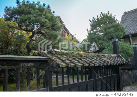 大光院　　群馬県　太田市 44295448