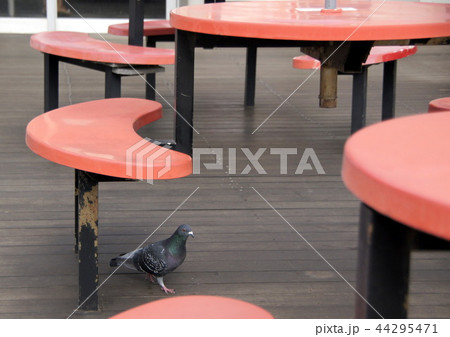 赤いテーブル 44295471