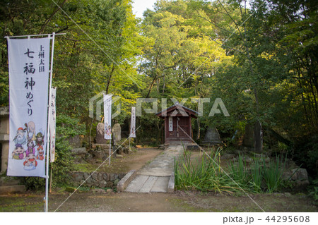 大光院　弁財天　群馬県　太田市 44295608