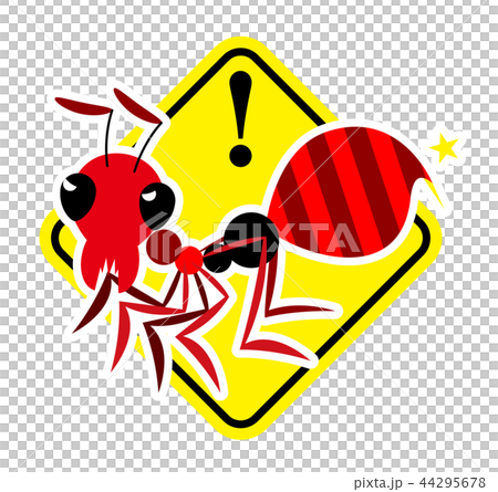 Illustration of fire ant 44295678