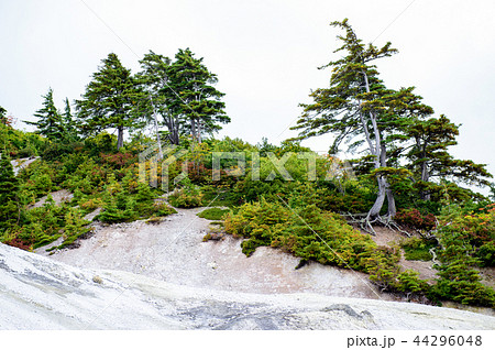 川原毛地獄　秋田県 44296048
