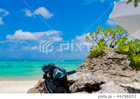 沖縄石垣島 川平タバガーの写真素材