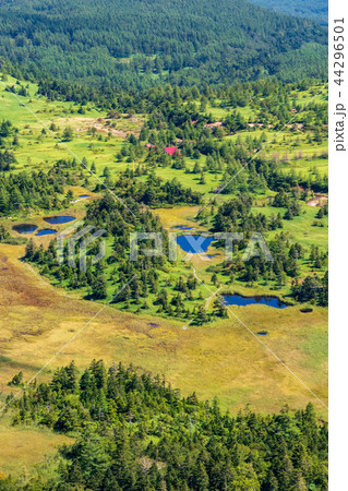 芳ヶ平湿地群 芳ヶ平湿地群 44296501