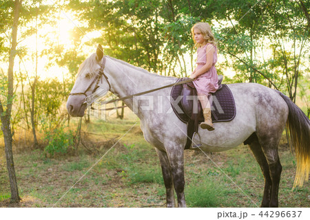 Little girl  and a gray horse 44296637