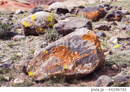 Large black stone with orange moss or lichen 44296785
