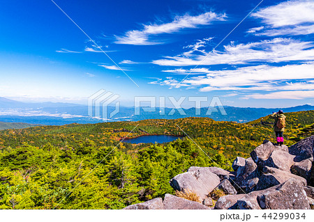(長野県)北八ヶ岳高見石から白駒の池を望む (長野県)北八ヶ岳高見石から白駒の池を望む 44299034