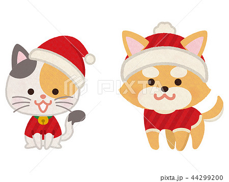 クリスマスカラーの服を着た犬と猫のイラスト素材