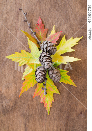 Autumn leaves and cones over wooden background Autumn leaves and cones over wooden background 44300756