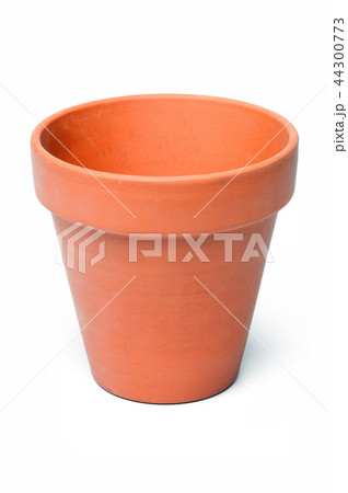 Orange flower pot Orange flower pot 44300773