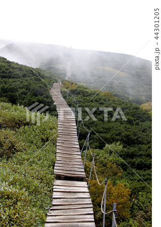 木道の登山道 44301205