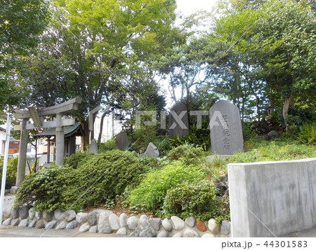 赤塚氷川神社　富士塚 44301583
