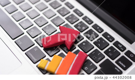 コンセプチュアル 44302008