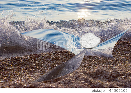 Abstract view of litecoin on the seacoast Abstract view of litecoin on the seacoast 44303103