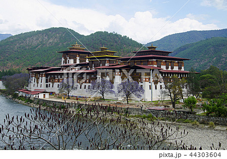 Administrative centre. Punakha Dzong, Bhutan 44303604