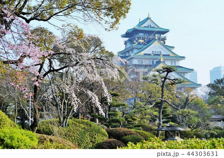 春の大阪城 春の大阪城 44303631