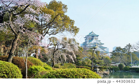 春の大阪城 春の大阪城 44303632