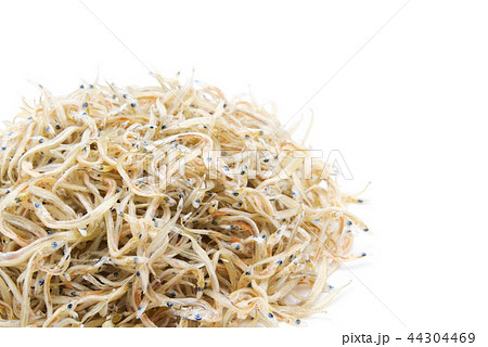 山盛りの小女子 山盛りの小女子 44304469