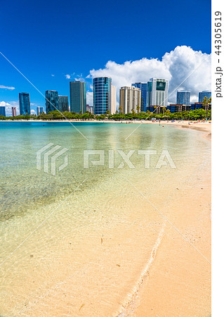 《ハワイ》アラモアナビーチパーク・ホノルル 44305619