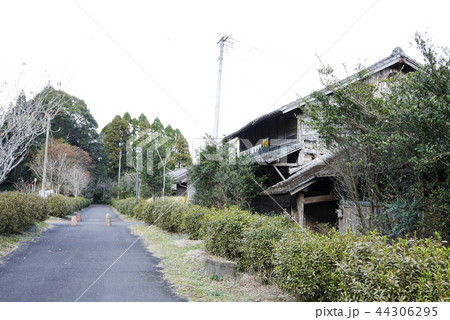 宮崎 44306295