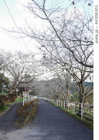 宮崎 宮崎 44306301