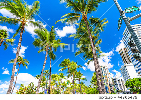 《ハワイ》ワイキキビーチ・カラカウア通り 《ハワイ》ワイキキビーチ・カラカウア通り 44306479