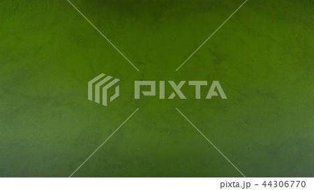 英国　イギリス　水面　密集　浮き草　絨毯　緑色 44306770