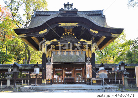 豊国神社 豊国神社 44307471