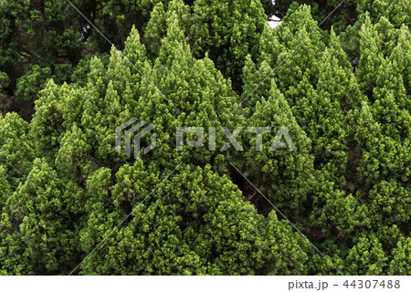 背景 バックグラウンド バックグランド 44307488