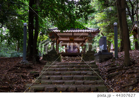 京都洛西・千丈天満宮 44307627