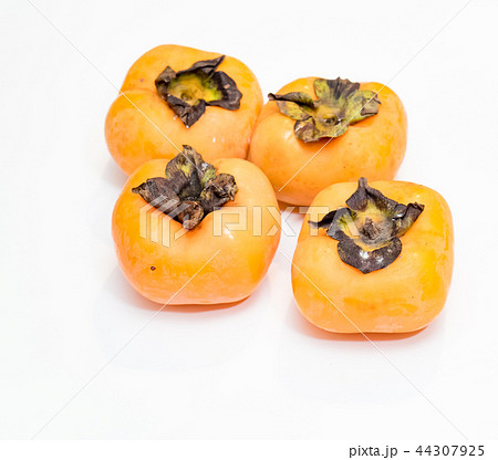 かき カキ 柿 44307925