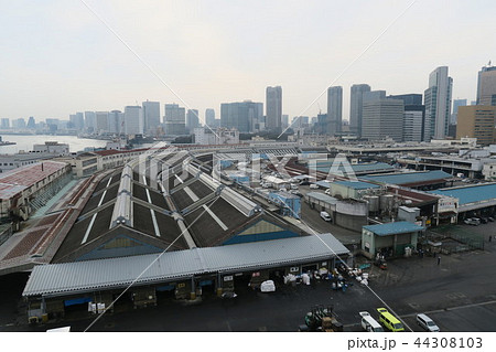 築地市場 築地市場 44308103