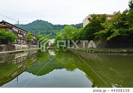街風景 水郷 近江八幡 街風景 水郷 近江八幡 44308156