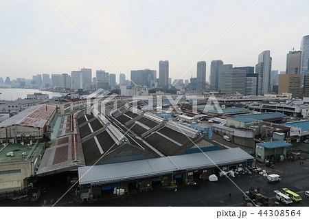 築地市場 44308564