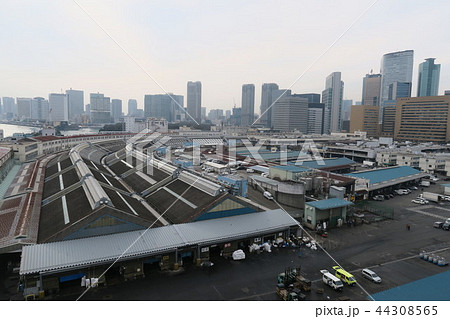 築地市場 44308565