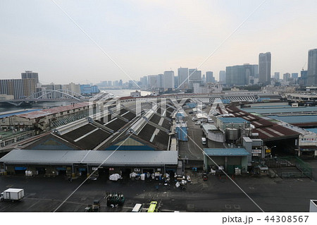 築地市場 44308567