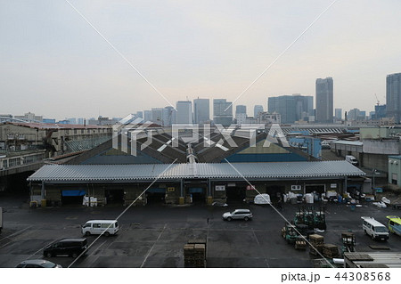築地市場 44308568