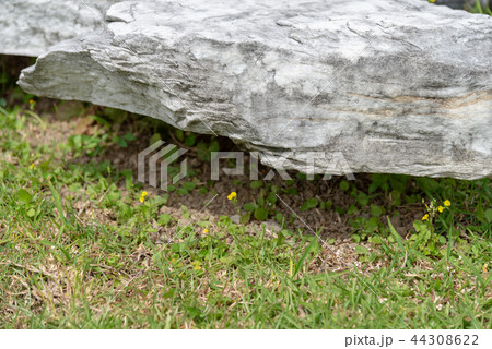 景色 風景 台湾 44308622