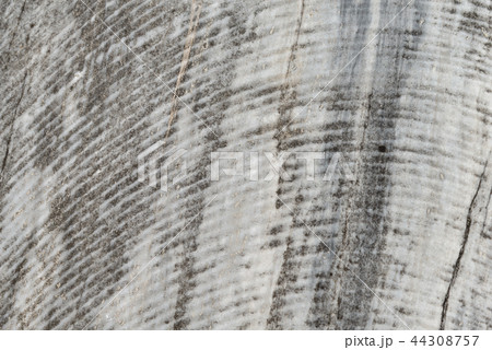 景色 風景 台湾 44308757