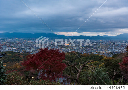 秋の伏見稲荷稲荷山、京都、日本 秋の伏見稲荷稲荷山、京都、日本 44308976