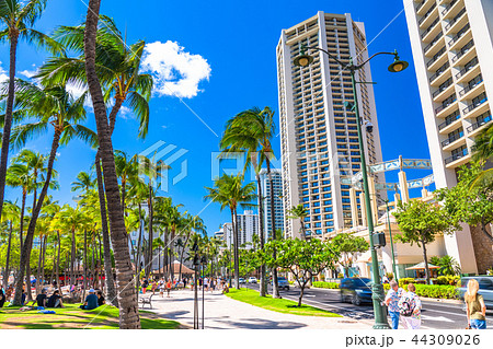 《ハワイ》ワイキキ・カラカウア通り 44309026