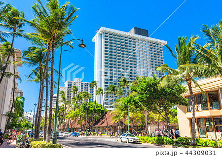 《ハワイ》ワイキキ・カラカウア通り 44309031