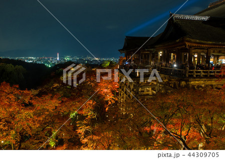 夜の清水寺の紅葉ライトアップ 、京都、日本 夜の清水寺の紅葉ライトアップ 、京都、日本 44309705