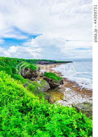 喜屋武岬 44309731