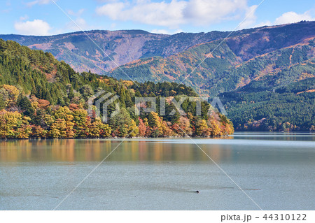 静岡県 紅葉の井川湖 静岡県 紅葉の井川湖 44310122