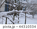 The snow on a branch in the winter. 44310334
