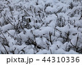 The snow on a branch in the winter. 44310336