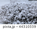 The snow on a branch in the winter. 44310339