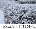 The snow on a branch in the winter. 44310341