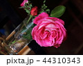 Pink rose in vase in studio class 44310343