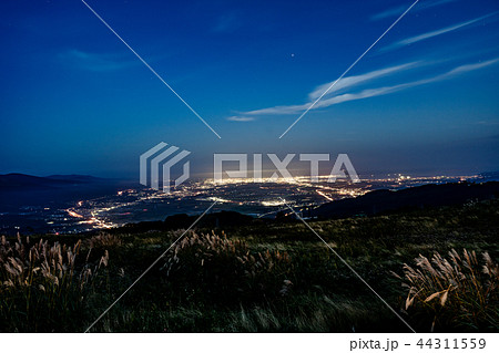 函館裏夜景 44311559